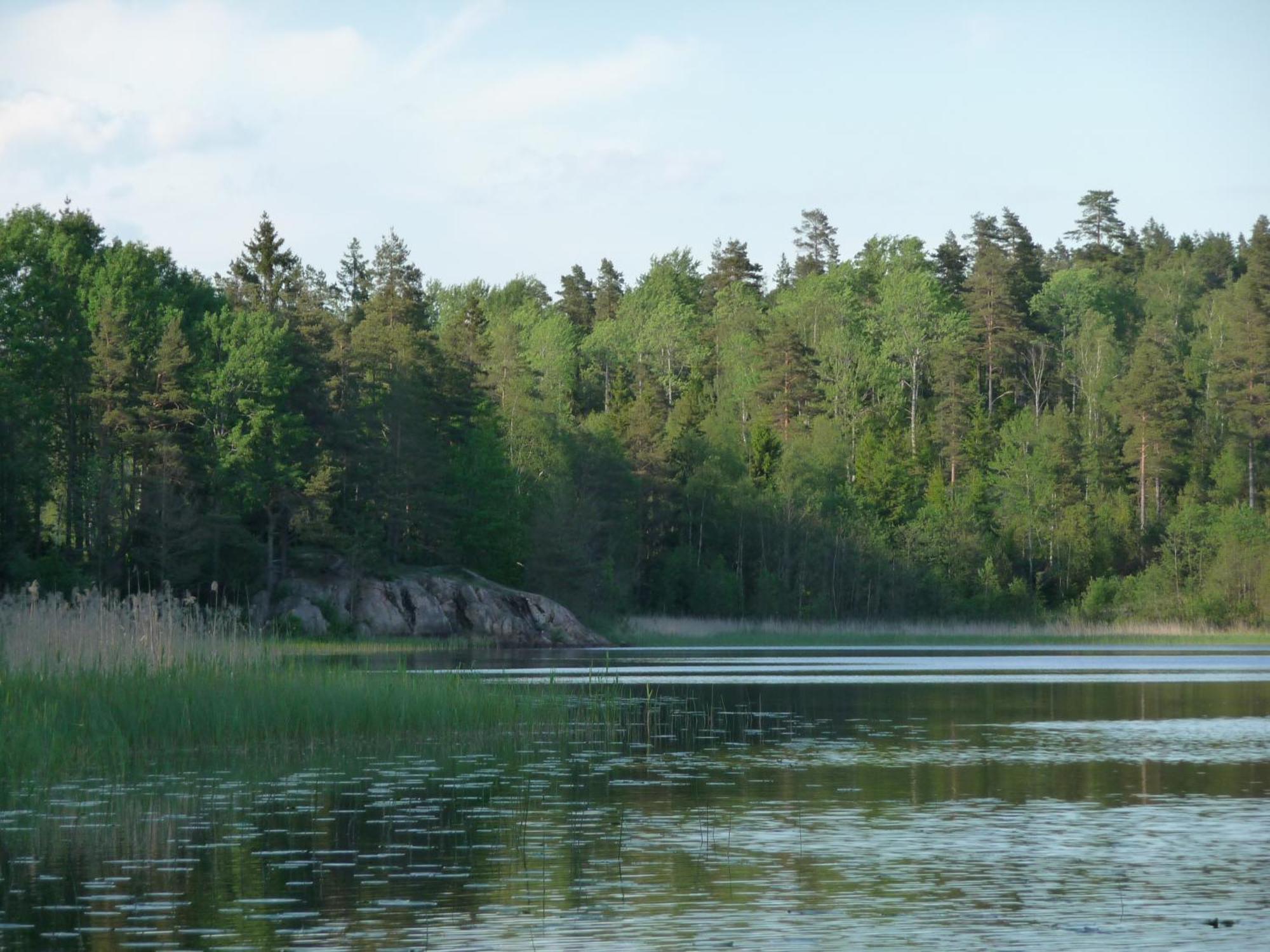 Kynnefjaellsnatur Hedekas Zewnętrze zdjęcie